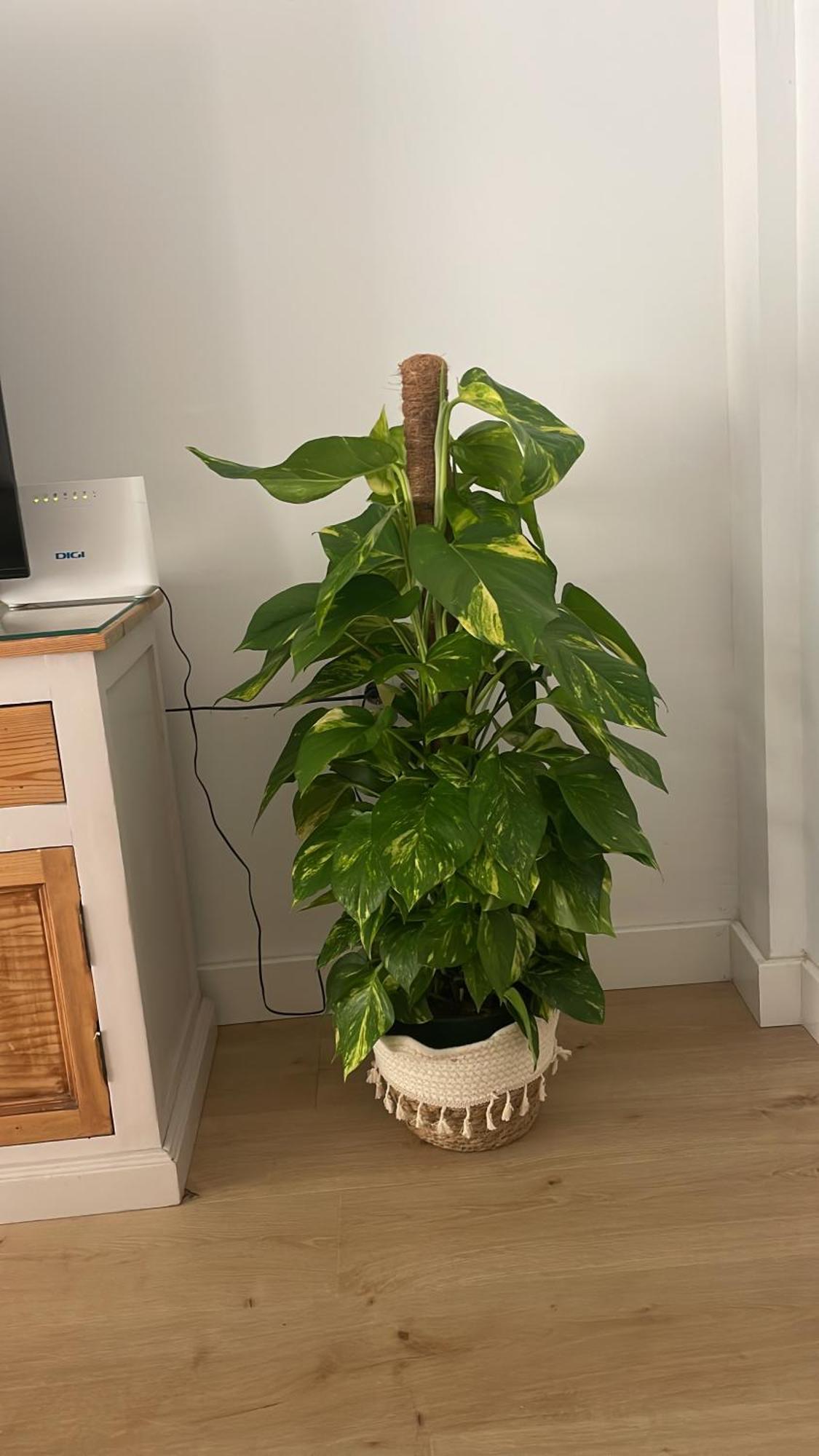 Exclusivo Apartamento Cerca De La Playa Málaga Eksteriør bilde